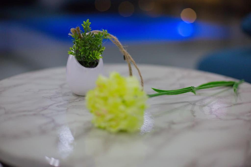 Villa Enjoy Lux In Split Kültér fotó